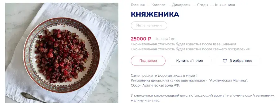 Самая дорогая ягода в России княженика: где растет, польза и цена за 1 кг.