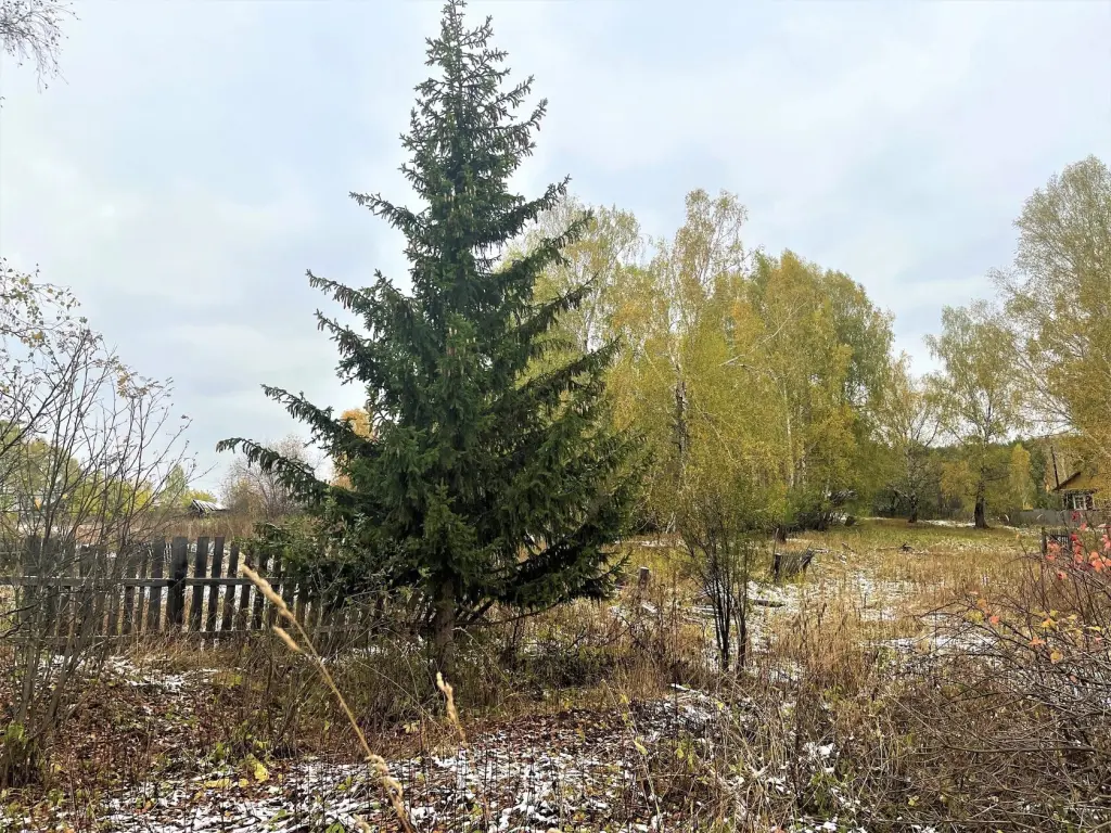 Дом, ул. Чапаева, 10