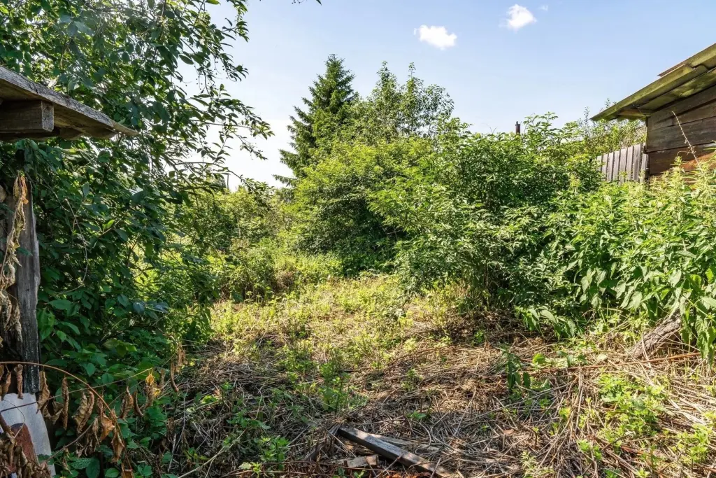 Дом, ул. Вайнера