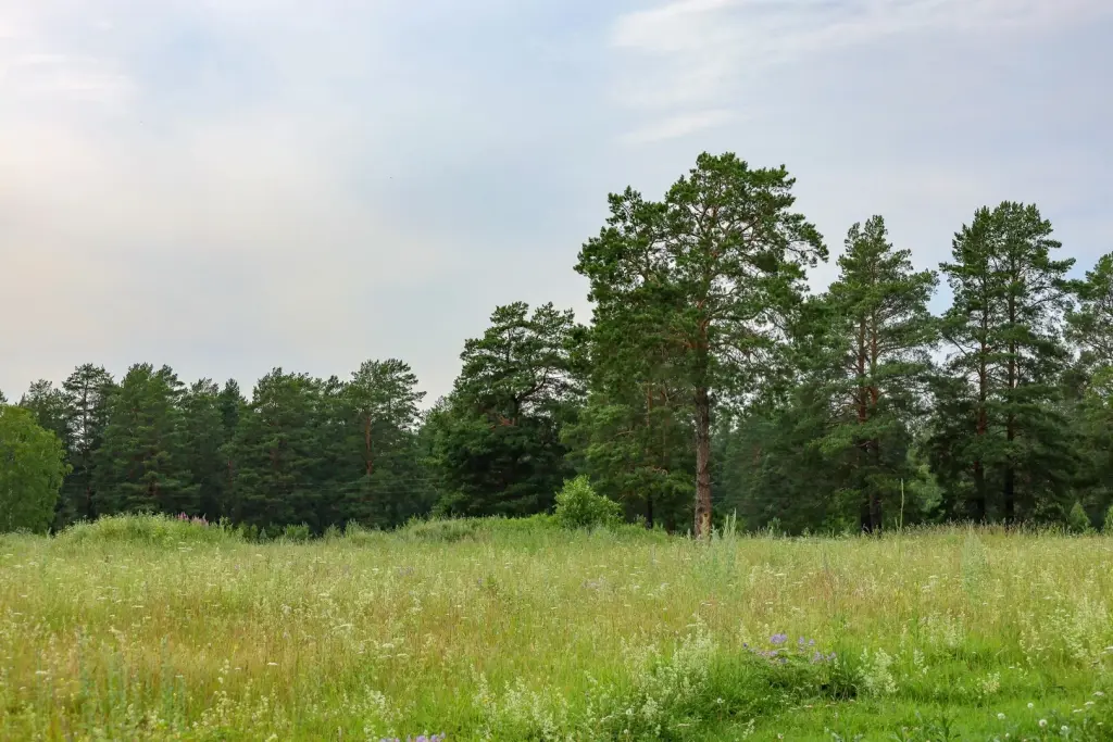 Дом, ул. Северная