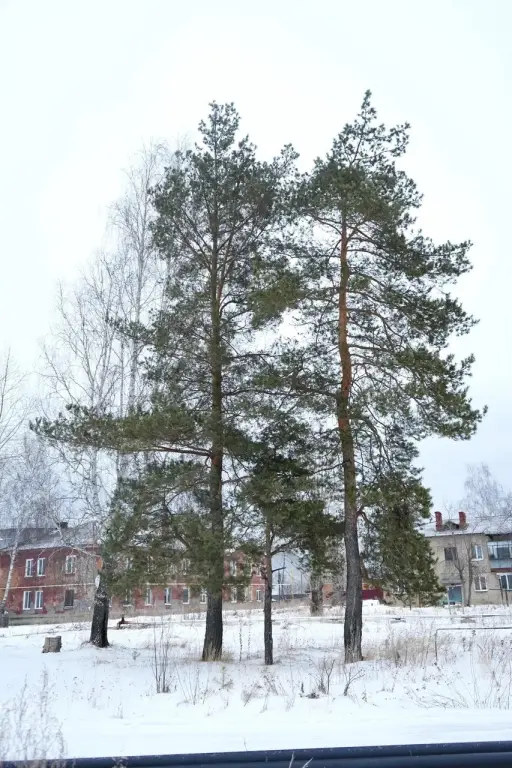 2-к квартира, ул. Победы, 51