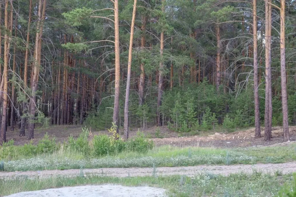 Дом, ул. Куйбышева, 75А